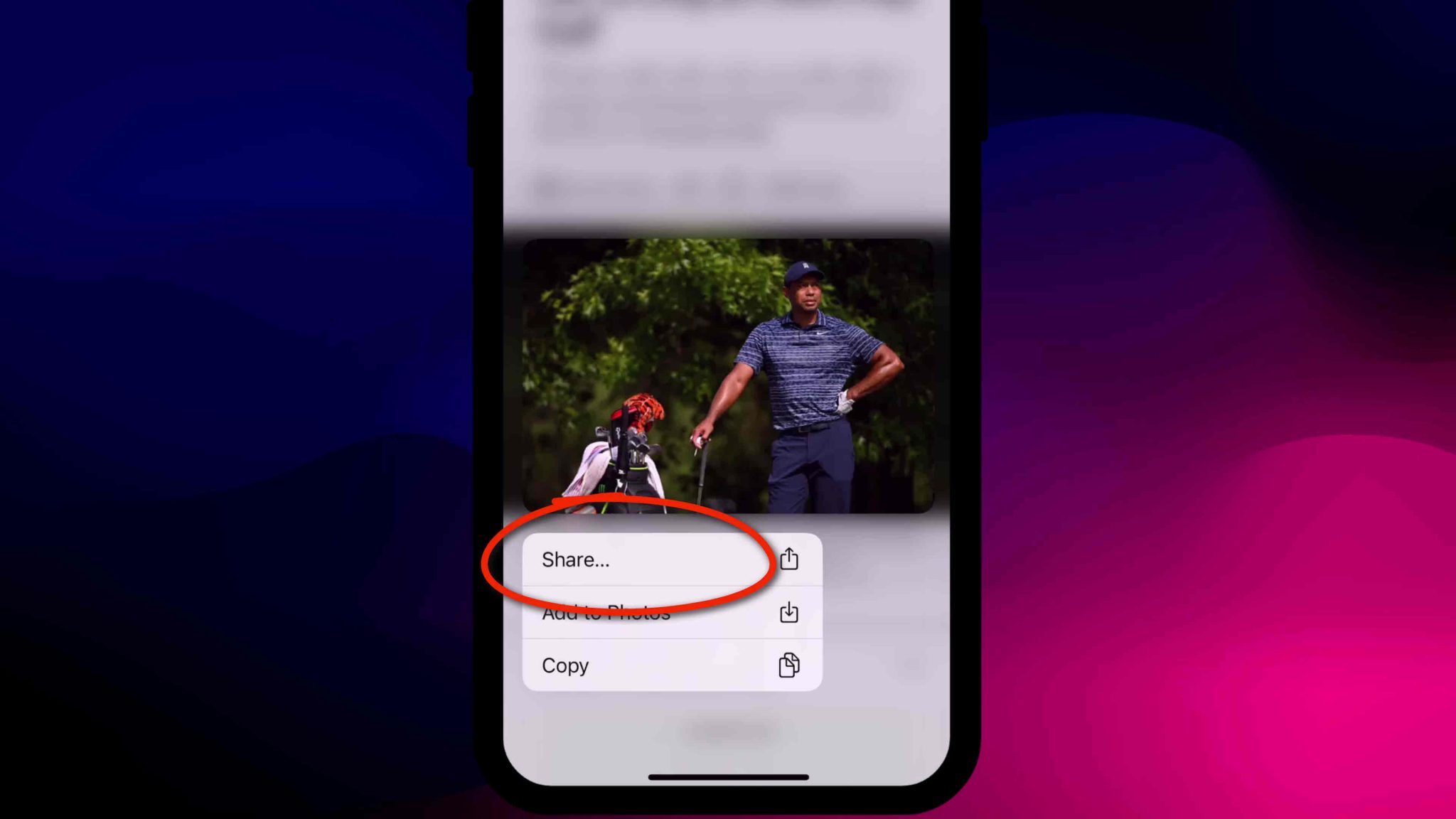 How To Search An Image on Google (Desktop & Mobile)